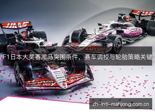 F1日本大奖赛黑马突围条件,赛车调校与轮胎策略关键 F1日本大奖赛黑马突围条件,赛车调校与轮胎策略关键