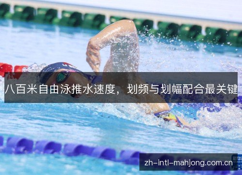 八百米自由泳推水速度,划频与划幅配合最关键 八百米自由泳推水速度,划频与划幅配合最关键
