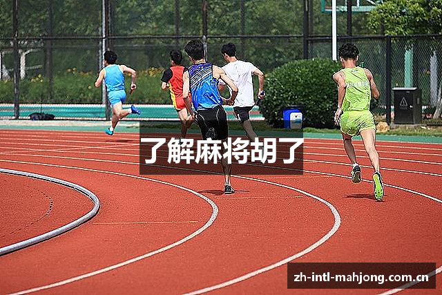 了解麻将胡了